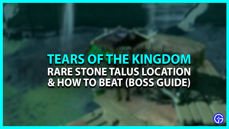 Where To Find & Defeat Rare Stone Talus In Zelda TOTK
