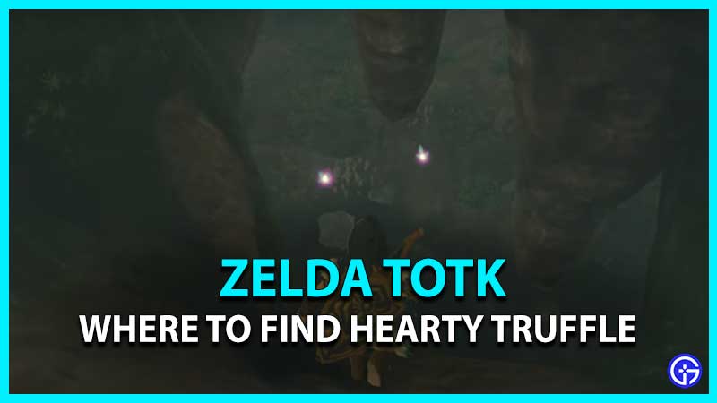 Where To Find Hearty Truffle Location In Tears Of The Kingdom