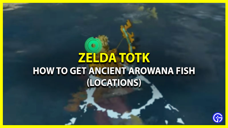Tears Of The Kingdom: Ancient Arowana Fish Locations In (TotK)