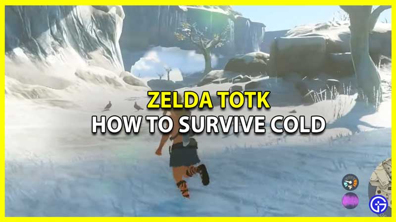 Zelda TOTK Cold Weather Gear (How To Get Warm Clothes)