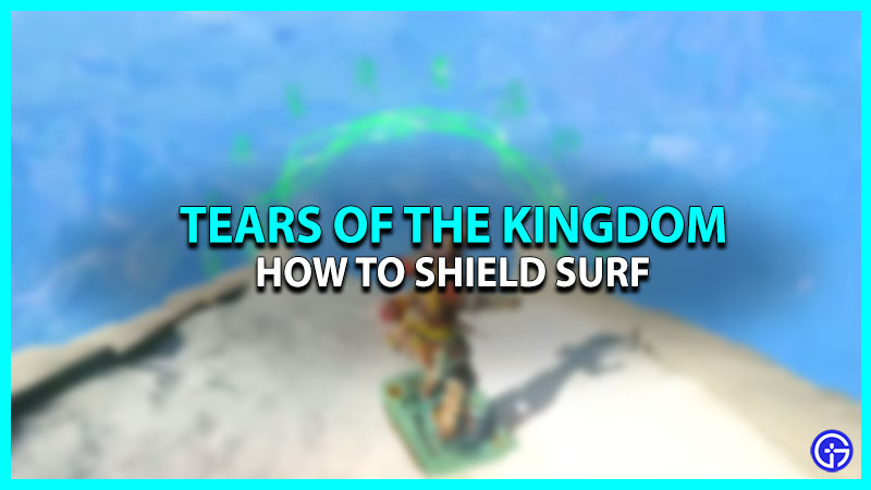 Shield Surf Guide For Zelda TOTK