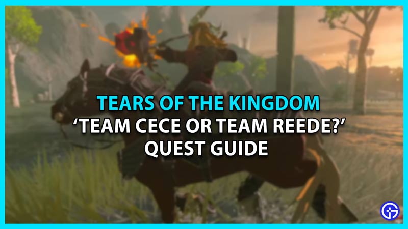 Team Cece Or Team Reede Zelda TOTK