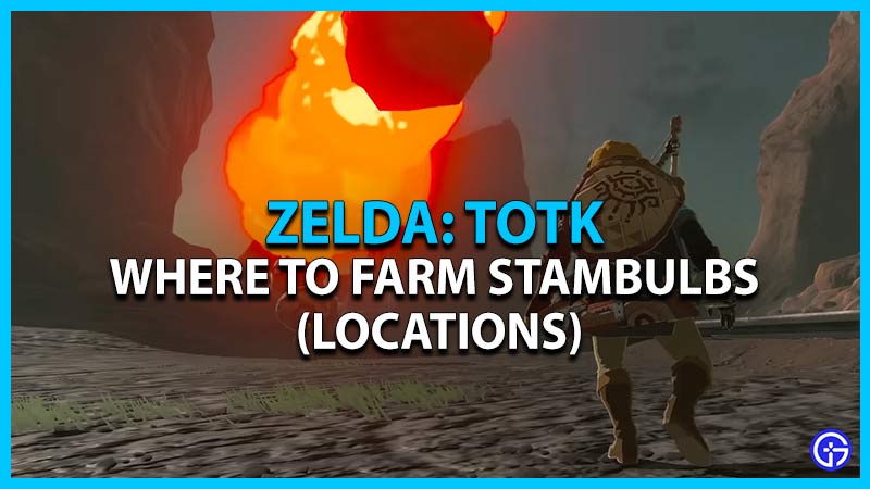 Zelda TOTK Stambulb Locations: Where To Farm & Find