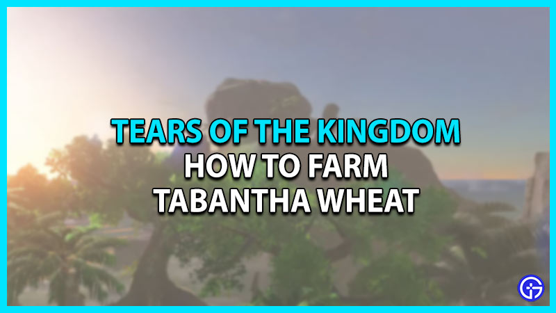 How To Farm Tabantha Wheat In Tears Of The Kingdom