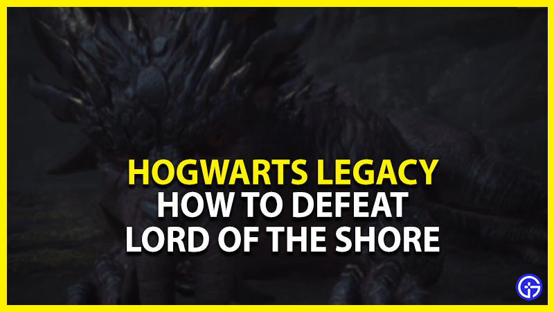 How To Defeat Lord Of The Shore In Hogwarts Legacy