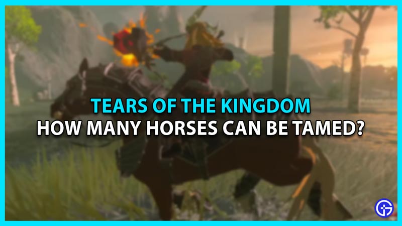 How Many Horses Can You Have In Tears Of The Kingdom