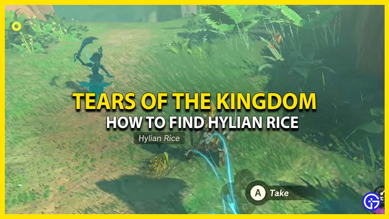 Where To Find Hylian Rice In Tears Of The Kingdom