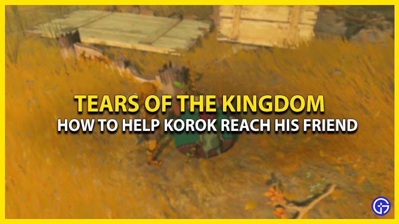 How To Help Korok Reach Friend In TOTK