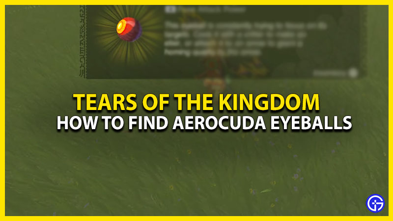Zelda TotK Aerocuda Eyeballs: How To Farm & Get In Tears Of The Kingdom