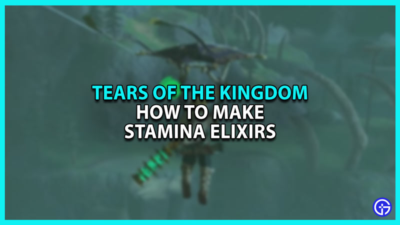 How To Make Energizing Elixir For Stamina In Zelda Tears Of The Kingdom (ToTK)