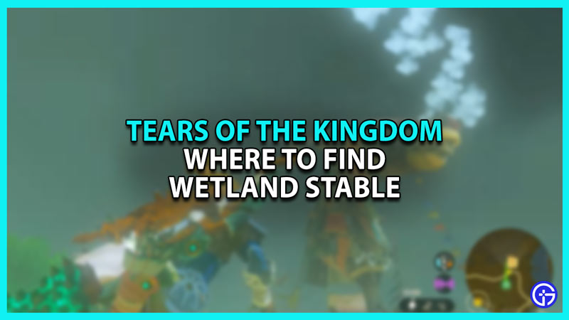 Wetland Stable Location In Tears Of The Kingdom (TOTK)