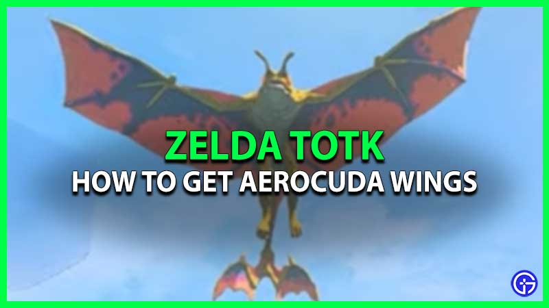 How To Get Aerocuda Wings In Zelda TOTK (Farm Guide)