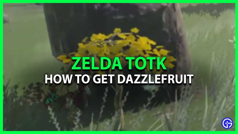 How To Get Dazzlefruit In Zelda Tears Of The Kingdom (Locations)