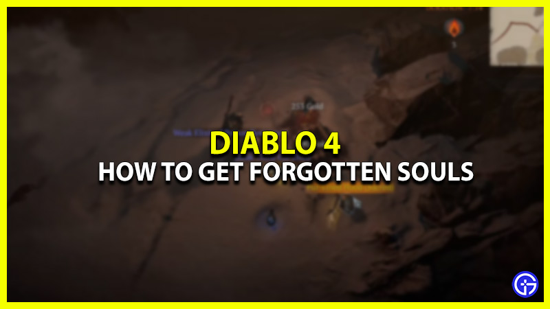 Diablo 4 Forgotten Souls: How To Farm & Get Easily