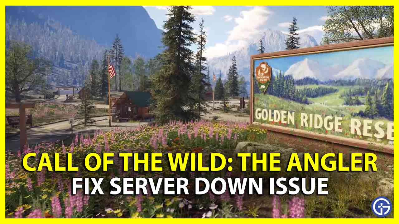 Are COTW The Angler Servers Down? Check Server Status
