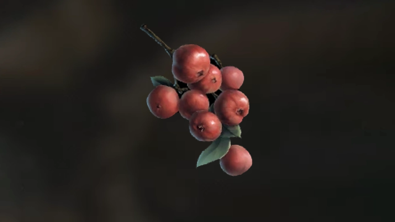 How to Get Lots of Wild Fruit in Soulmask