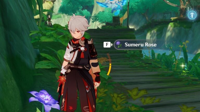 Genshin Impact Sumeru Rose: Where to Get, Uses, and More