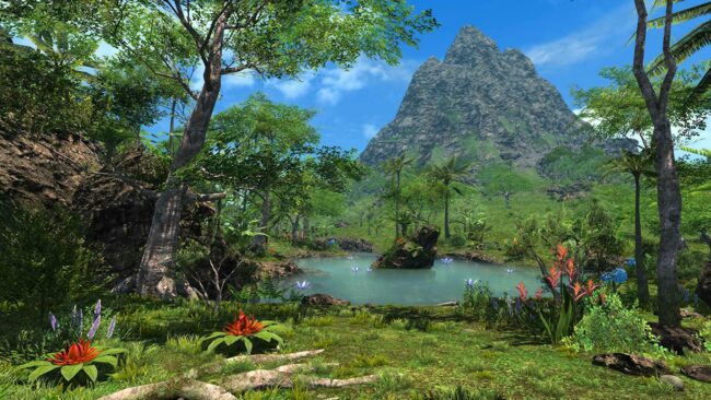 How to Turn Off Event Camera in FFXIV Island Sanctuary