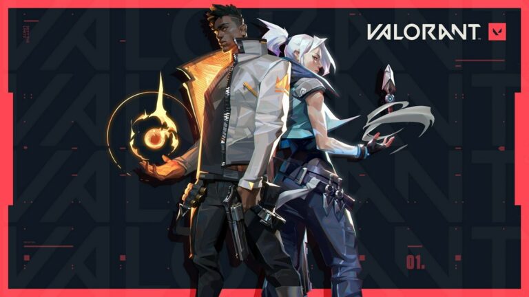 How to Use Raw Accel for Valorant