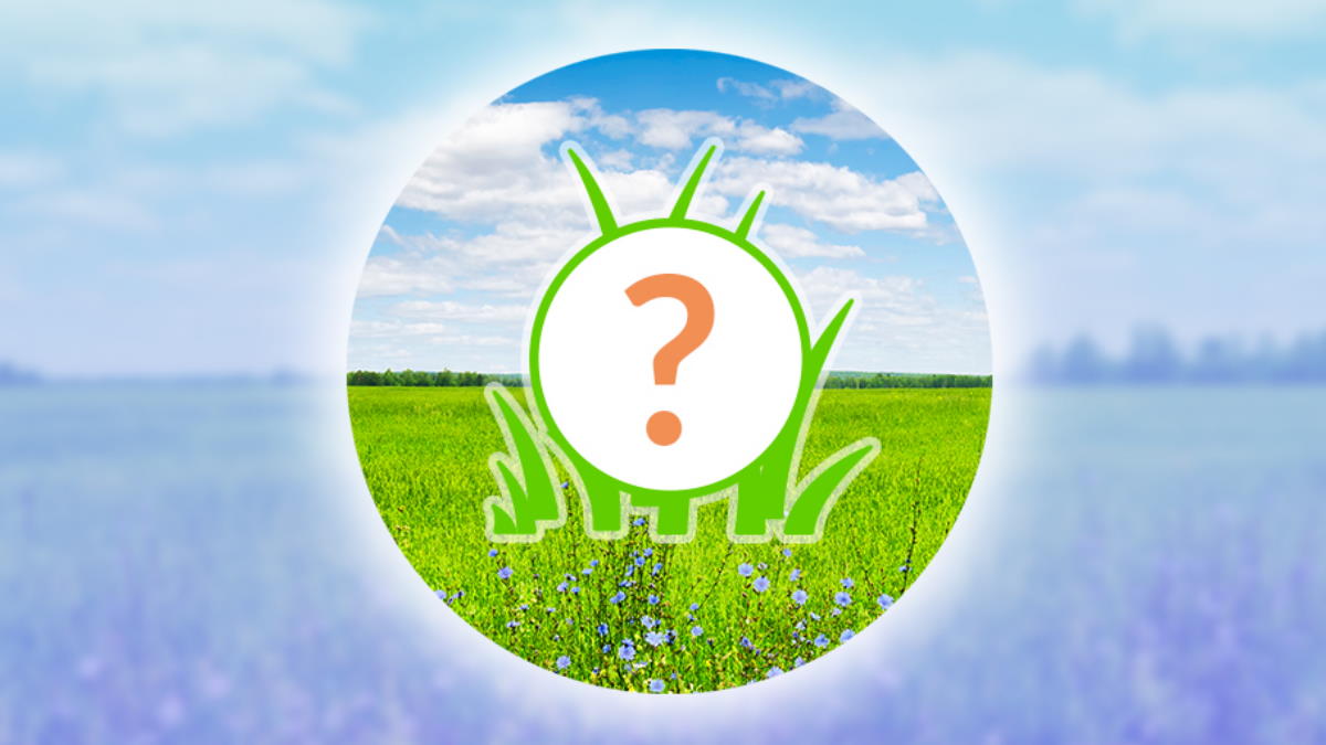 What does Spotlight Hour do in Pokemon Go?