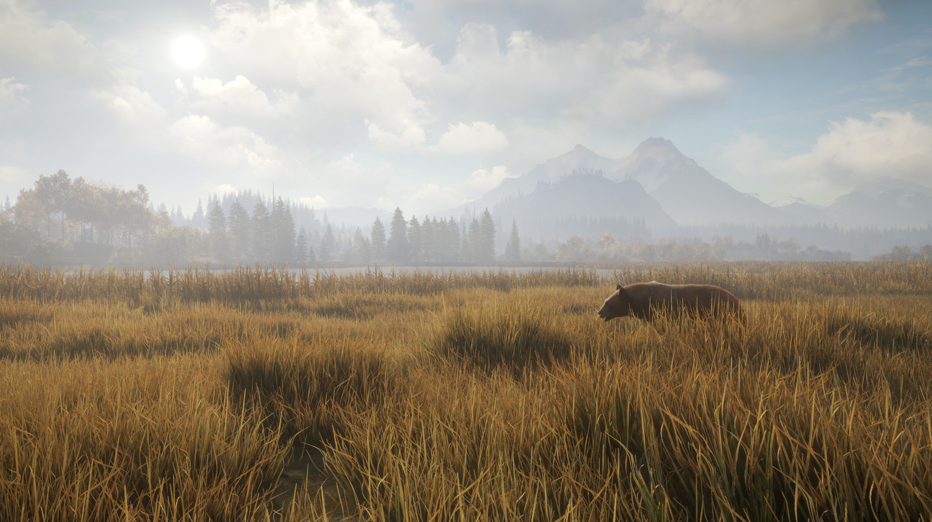 Top 5 Best Hunting Games on Xbox One