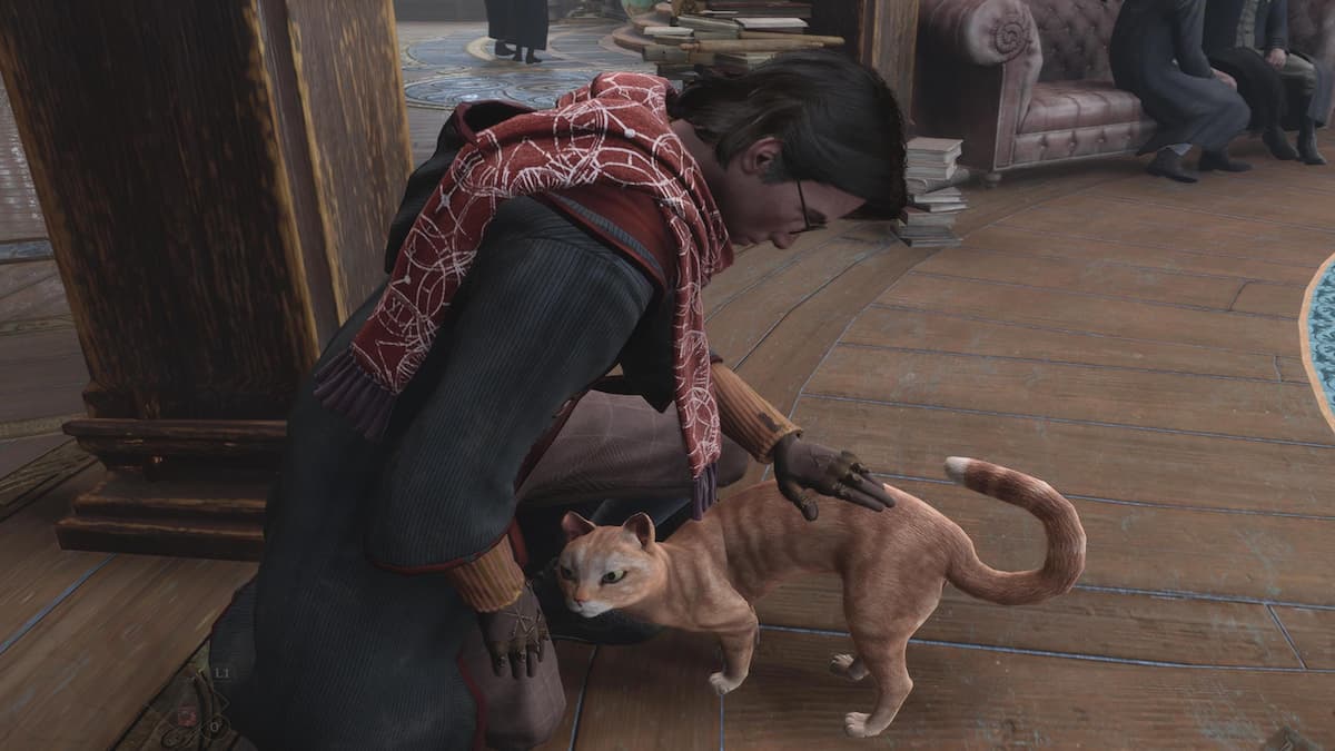 What Does Petting Cats Do in Hogwarts Legacy? Answered