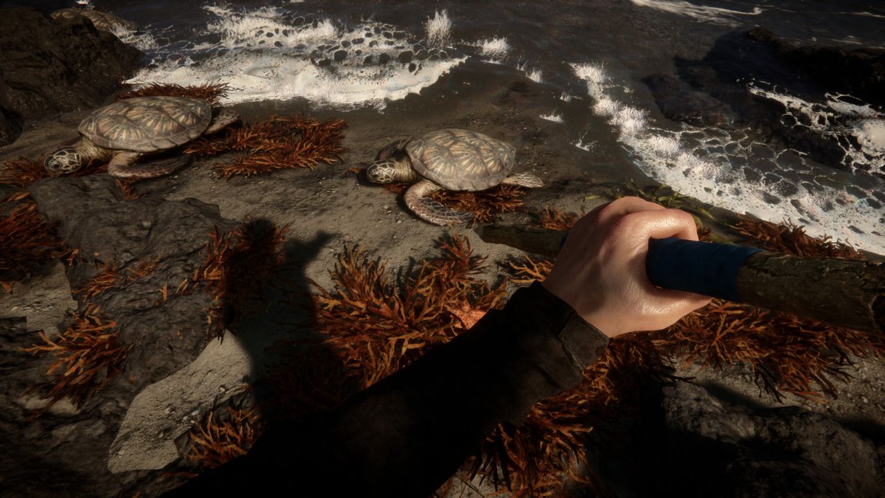 Will Sons of the Forest be on Console? Answered