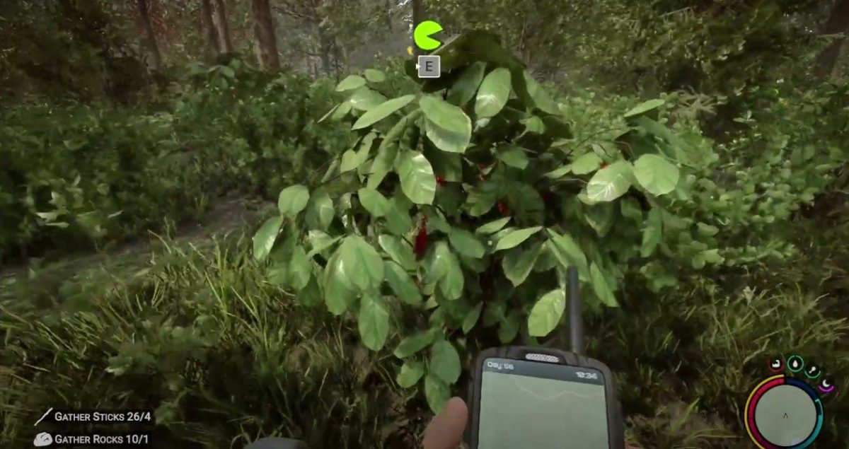 How to Get Guarana Berries in Sons of the Forest