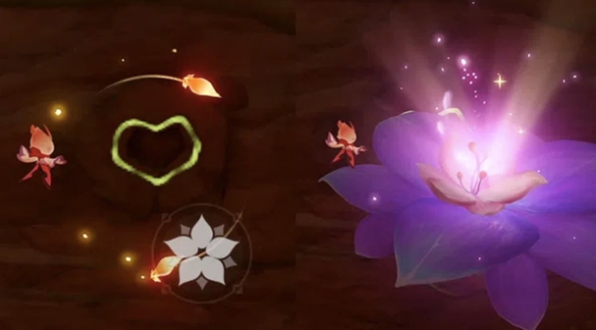 All Udumbara Pistil Locations in Genshin Impact