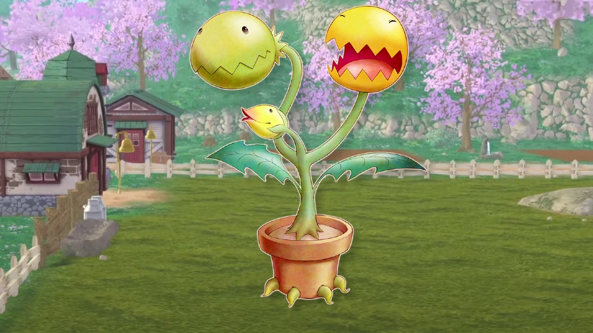 How To Get A Higher Success Rate with Vinnie in Story of Seasons