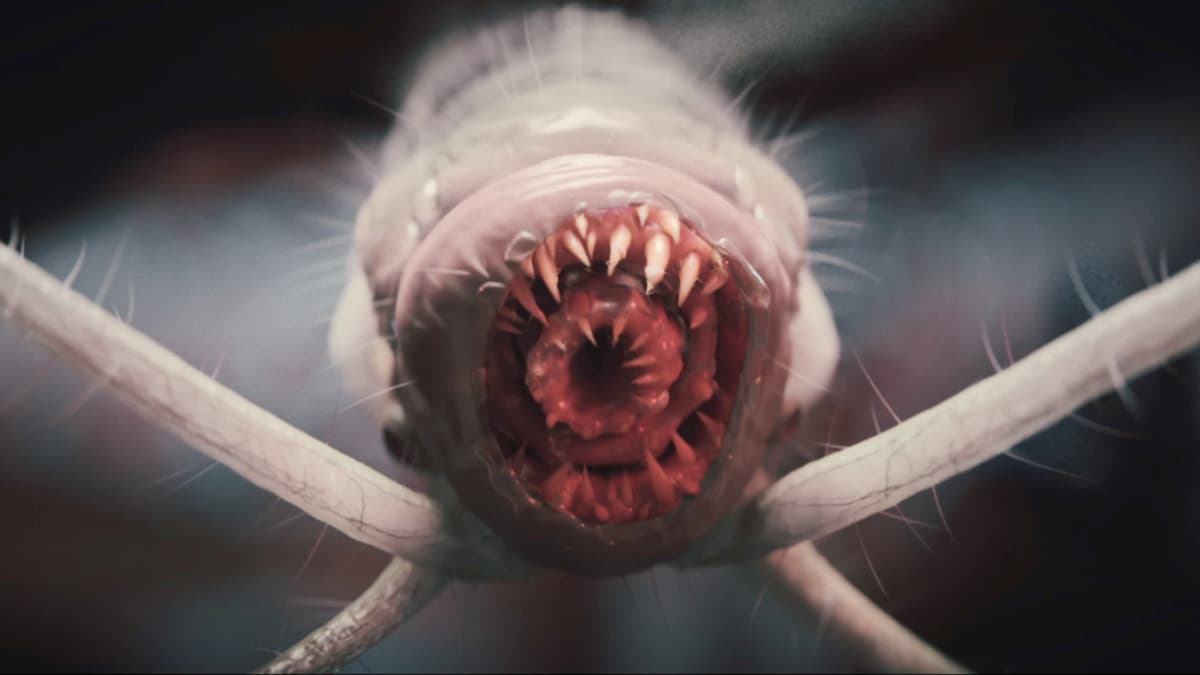 How to Remove the Parasite in Baldur’s Gate 3 (BG3)