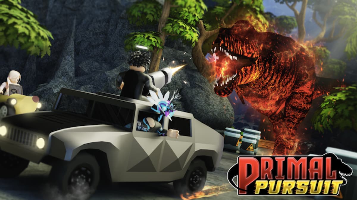 Primal Pursuit Codes (May 2025)