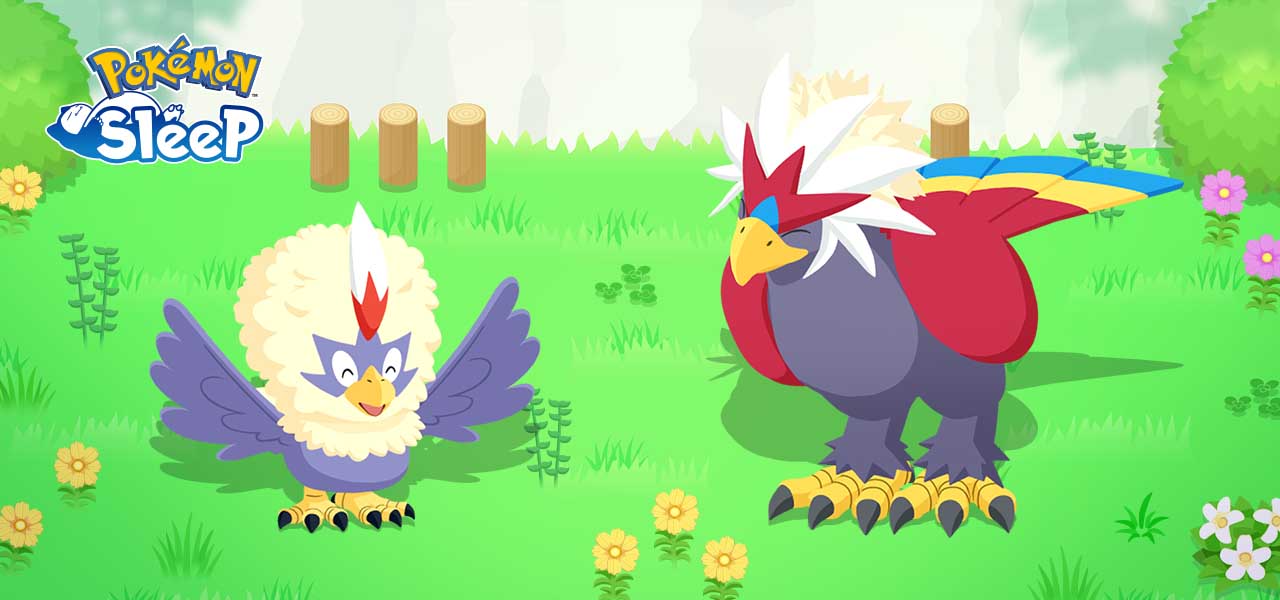 Pokemon Sleep adds Rufflet and Braviary to your dreamy encounters this January