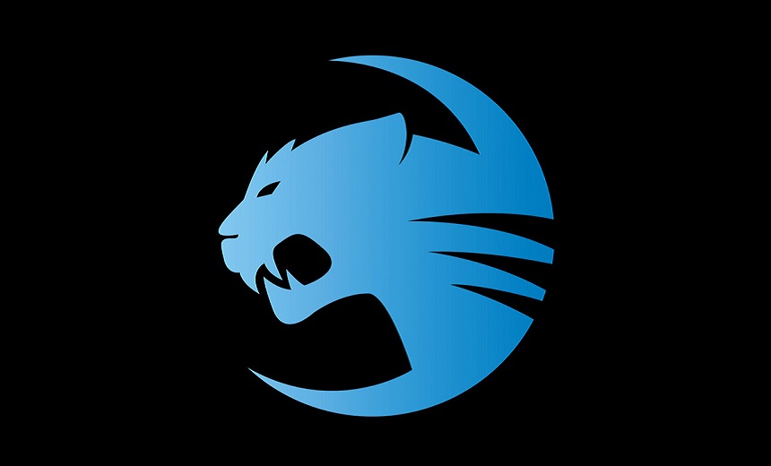 Team Spotlight: ROCCAT heroes