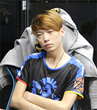 Synergy League Chinese division concludes, NewBee and VG advance