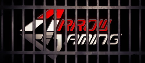 SynergyLeague bans Arrow Gaming for life