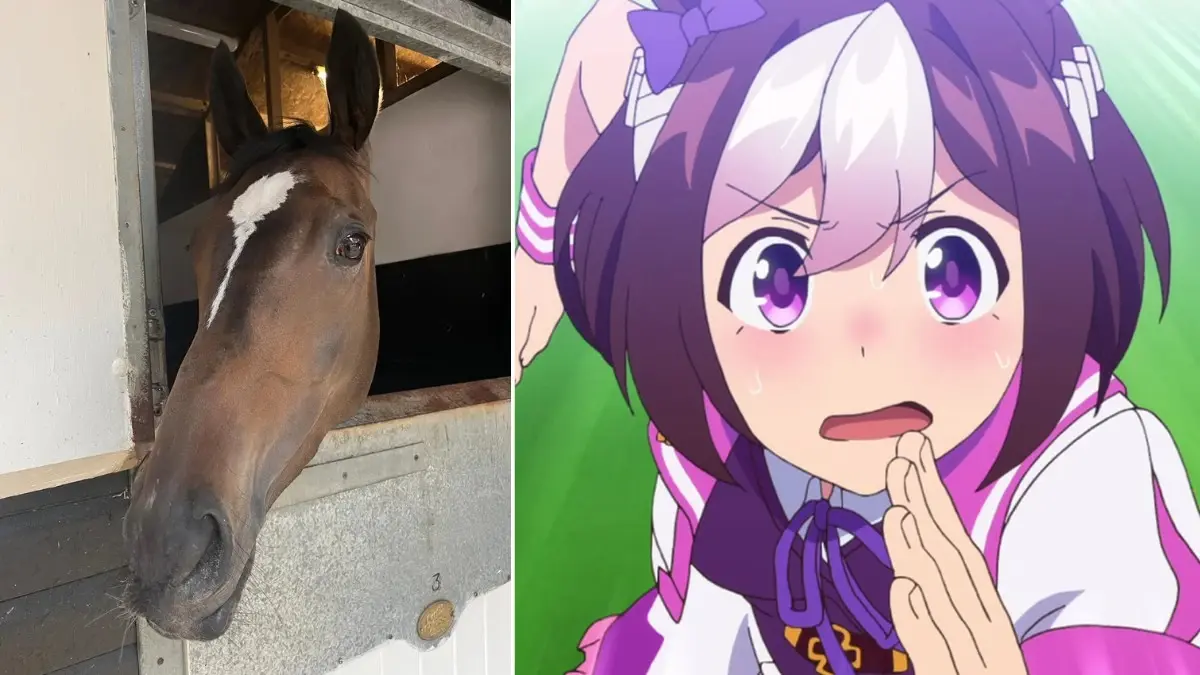Umamusume Pretty Derby prompts one fan to invest in owning a real-life racehorse