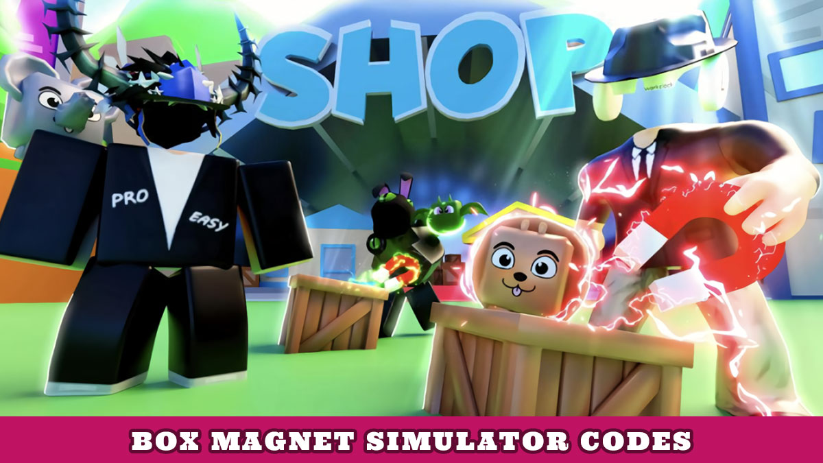 Box Magnet Simulator Codes