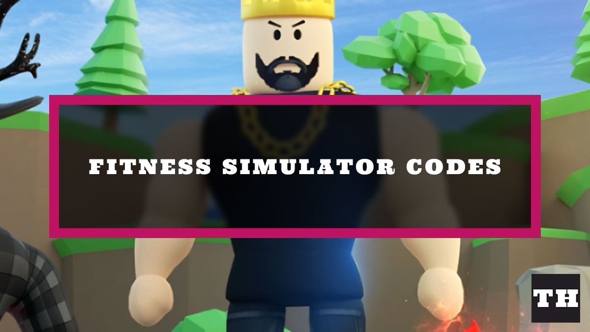 Fitness Simulator Codes