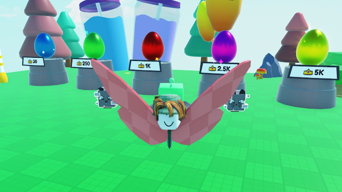 Butterfly Race Codes