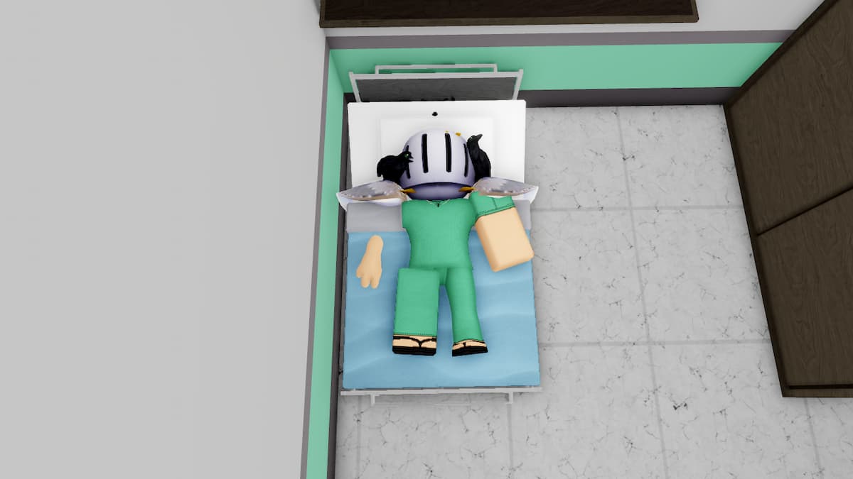 Asylum Life Codes (August 2025)