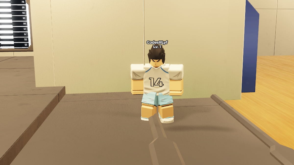 Volleyball Ascended Codes [Update] (August 2025)