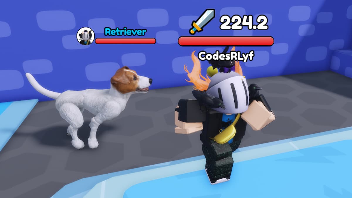 Train Dog to Fight Codes [Upd 3.0] (August 2025)