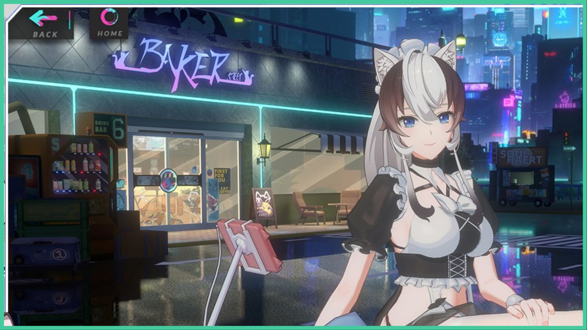Cat Fantasy Codes - Free Rewards and Treats!
