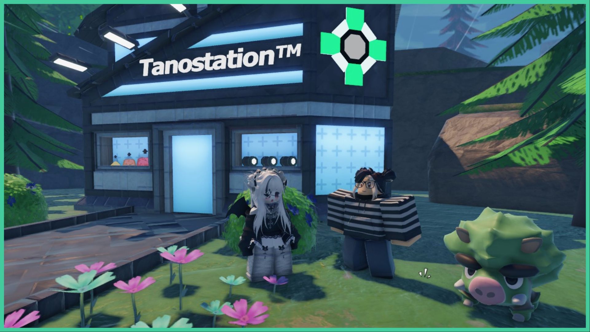Tales of Tanorio Codes - Where Are They?