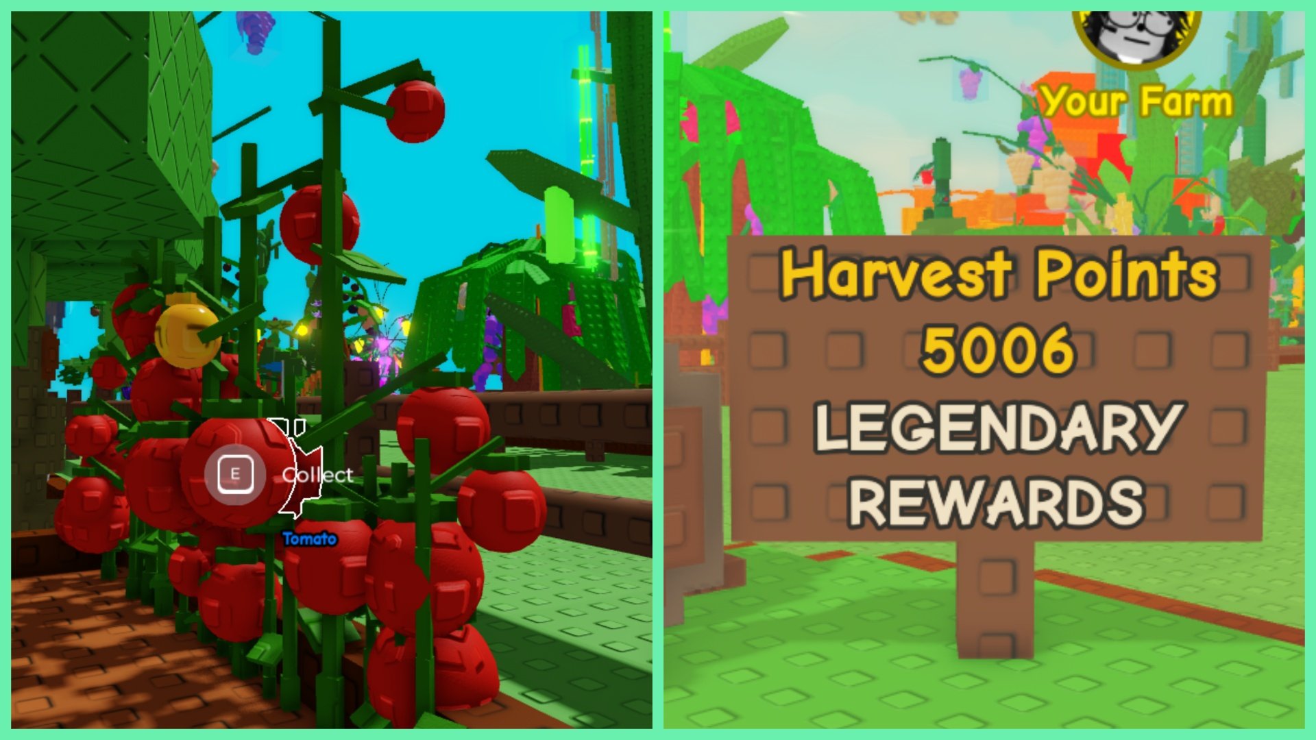 How To Do The Grow a Garden Tomato Method - Summer Harvest Event!