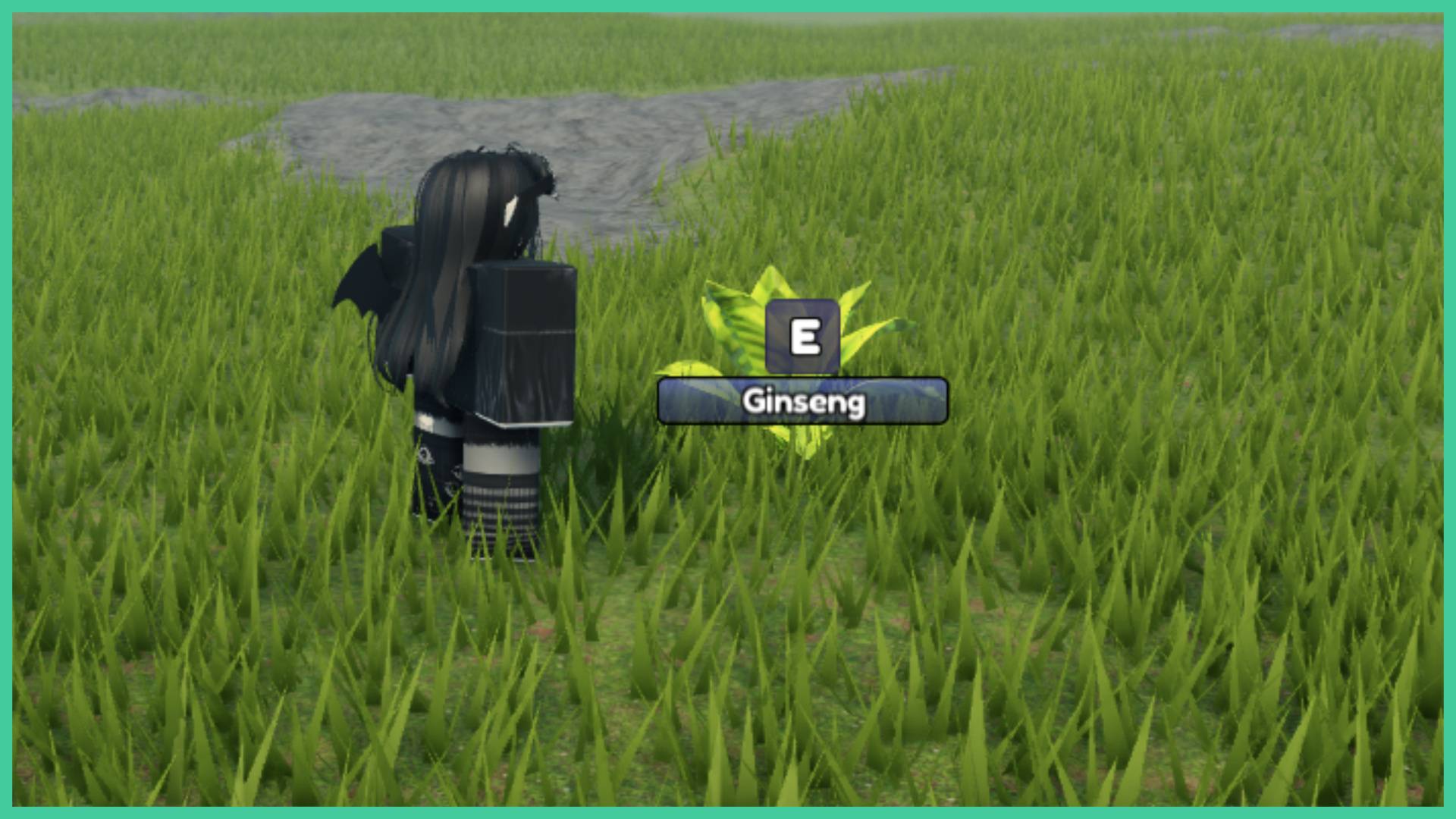 Reborn Cultivation Herb Locations – and Uses!