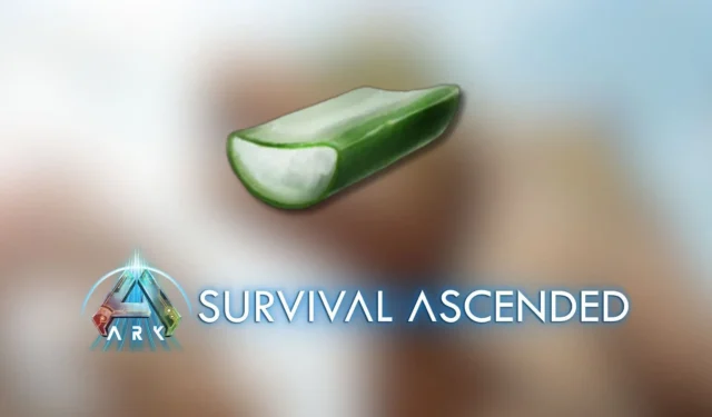 How to get Cactus Sap in Ark Survival Ascended: Scorched Earth
