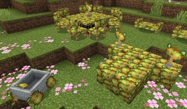 5 best things to do in Minecraft Poisonous Potato update
