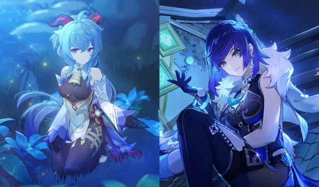 Genshin Impact 4.6 Chronicled Wish speculations